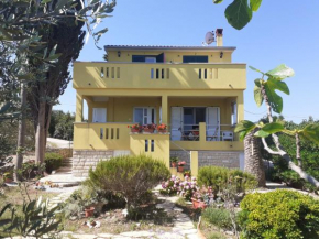 Apartment Branko